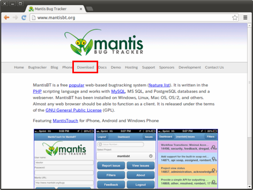 installing mantis on iis server